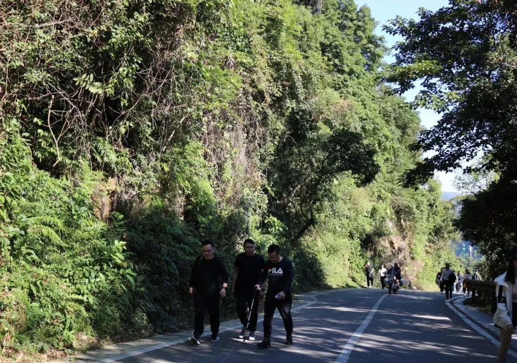 必赢贵宾会注册开户 海普天丨赏金电竞苹果团建活动---梧桐山之旅......(图7)