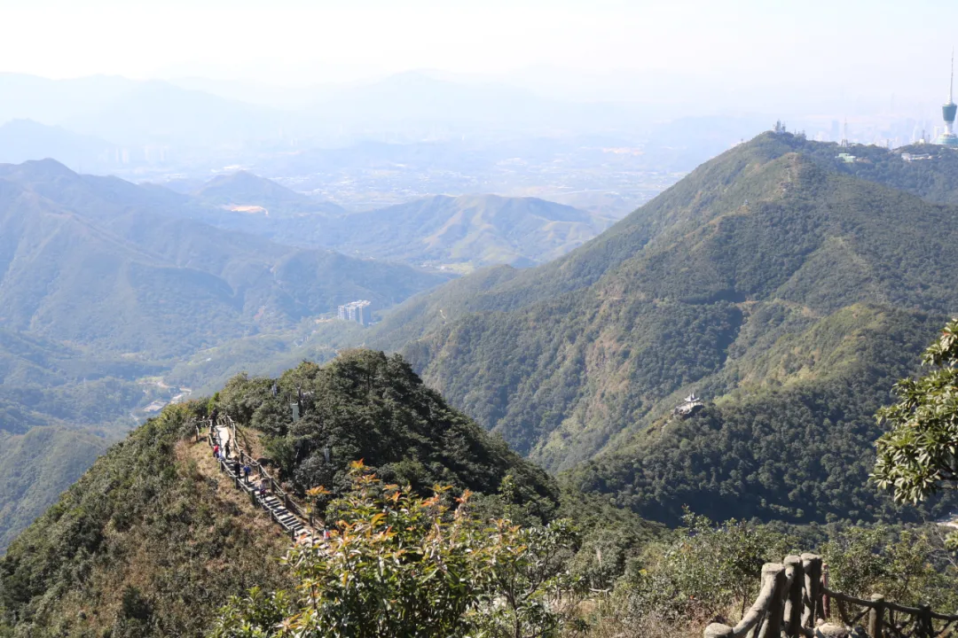 必赢贵宾会注册开户 海普天丨赏金电竞苹果团建活动---梧桐山之旅......(图15)