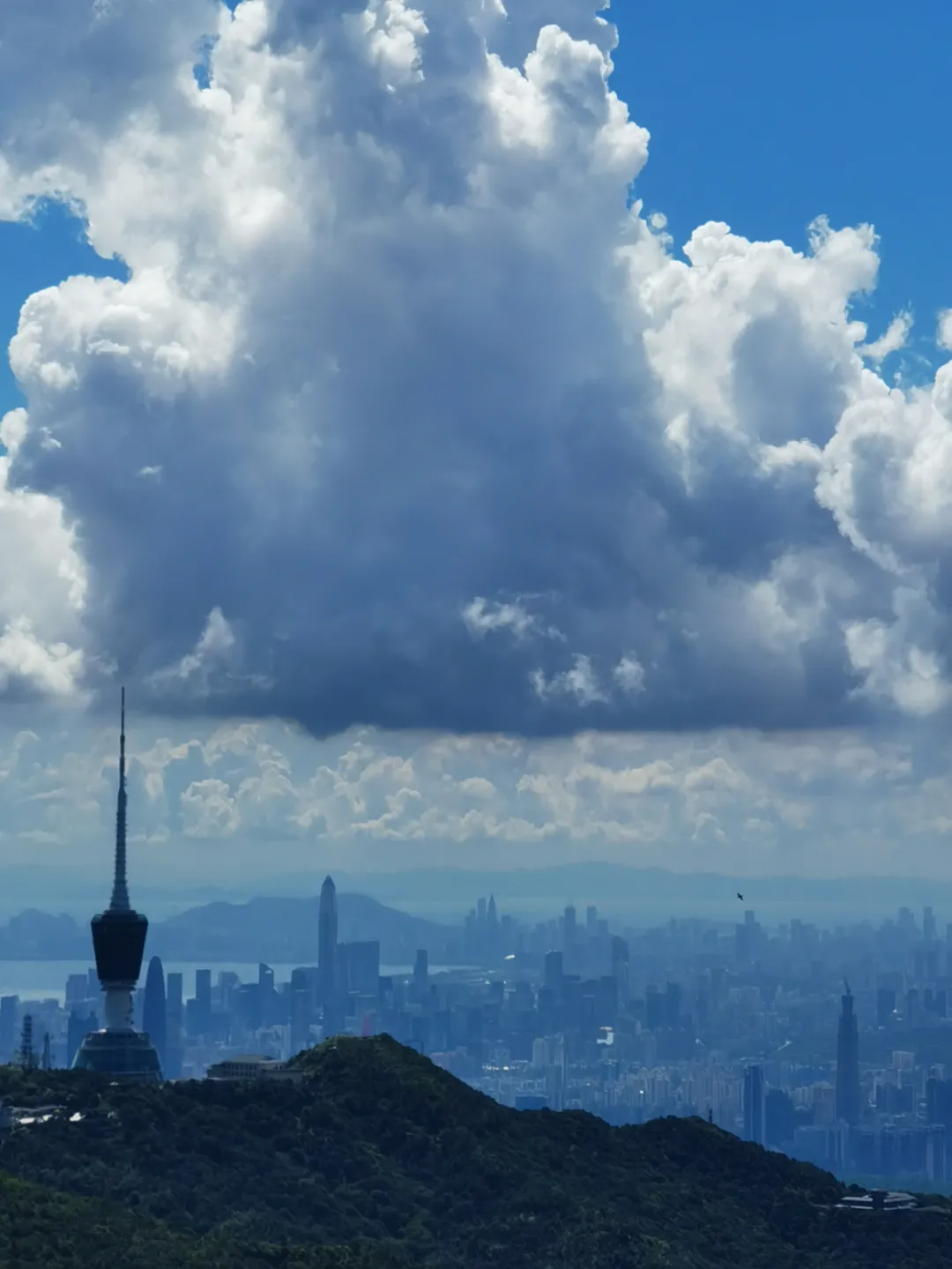 必赢贵宾会注册开户 海普天丨赏金电竞苹果团建活动---梧桐山之旅......(图19)